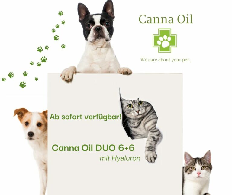 Ab sofort verfügbar!CannaOil DUO 6+6