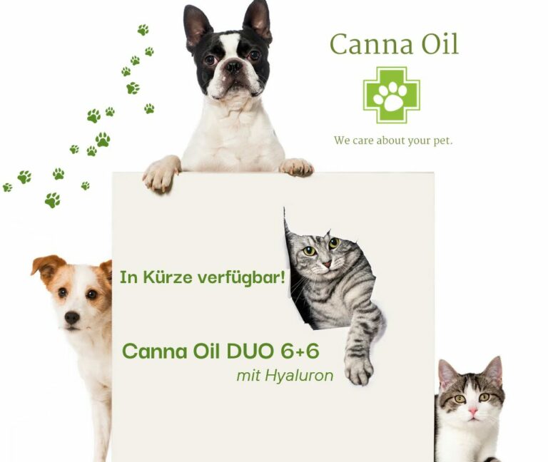 Canna Oil Duo 6+6 mit Hyaluron in Kürze verfügbar