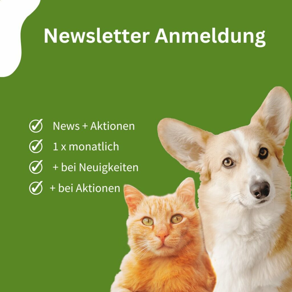 Newsletter Anmeldung Landingpage